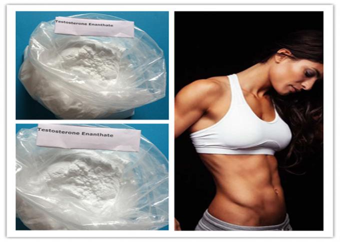 Testosterone Enanthate CAS 315-37-7 99% Purity Body Building Steroid Powder Quick Effects