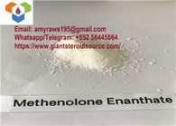 99 An پودر خام آنابولیک استروئید Methenolone Enanthate / انبار Primobolan با تحویل ایمن